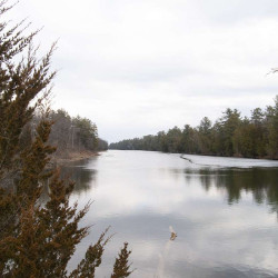 Image of Pinery Park landscape from photo monitoring post location #4.