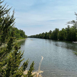 Image of Pinery Park landscape from photo monitoring post location #4.