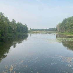 Image of Pinery Park landscape from photo monitoring post location #3.