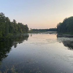 Image of Pinery Park landscape from photo monitoring post location #3.
